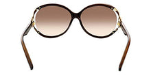 Salvatore Ferragamo Women's Brown Gradient Round Sunglasses - SF600S-220